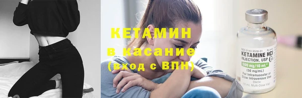 крисы Алексин