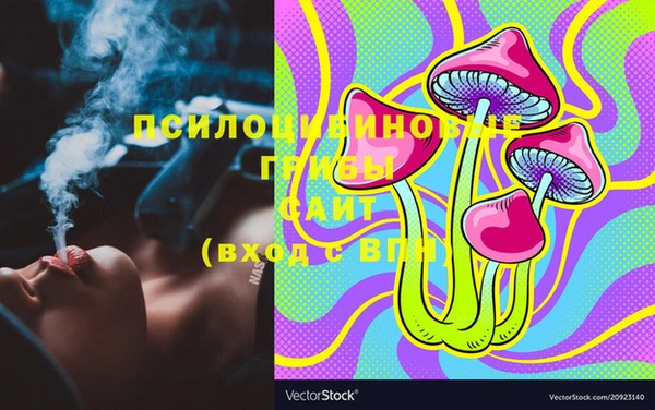 PSILOCYBIN Алексеевка
