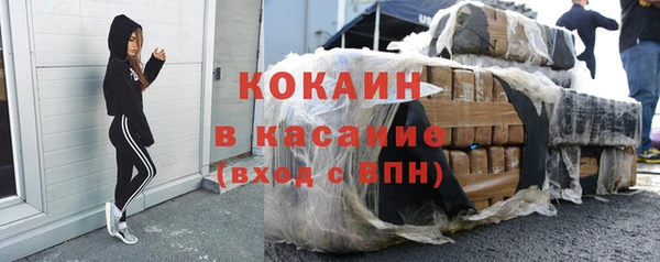 крисы Алексин