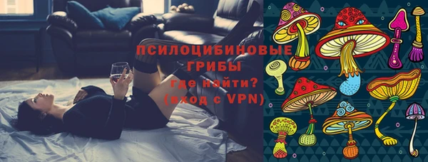 PSILOCYBIN Алексеевка