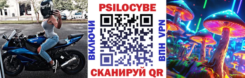 Псилоцибиновые грибы GOLDEN TEACHER  Буй 